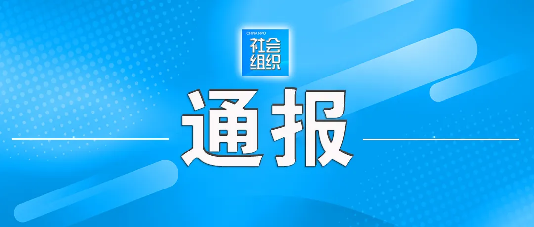 中国社会组织