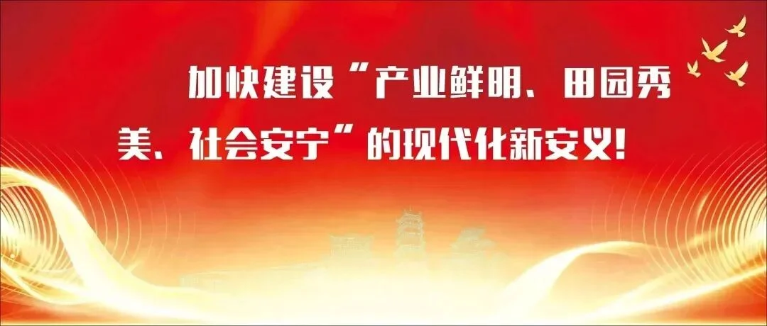 佛山市江西安义商会